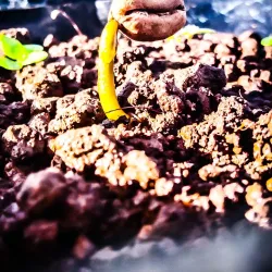 Mount Kalatungan Range Natural Park - Valencia City