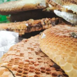 Mount Kalatungan Range Natural Park - Valencia City