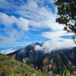 Mt. Kitanglad Range Natural Park - Valencia City