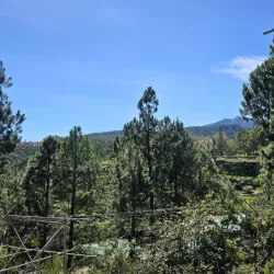 Mt. Kitanglad Range Natural Park - Valencia City