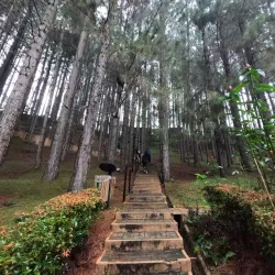 Mt. Kitanglad Range Natural Park - Valencia City