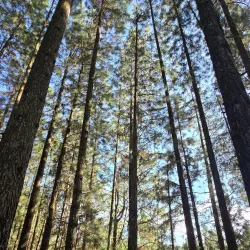 Mt. Kitanglad Range Natural Park - Valencia City