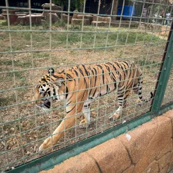 Baluarte Zoo - Vigan