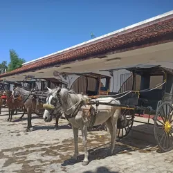 Calle Crisologo - Vigan