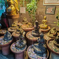 Hidden Garden - Vigan