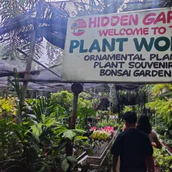 Hidden Garden - Vigan