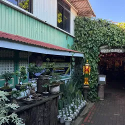 Hidden Garden - Vigan