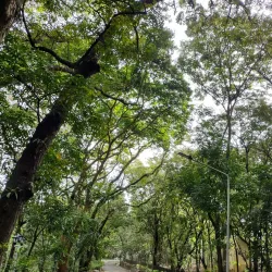 Pasonanca Natural Park - Zamboanga