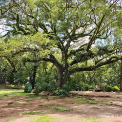 Pasonanca Park - Zamboanga