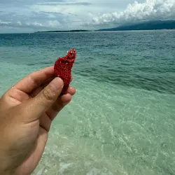 Punta Flecha Beach - Zamboanga