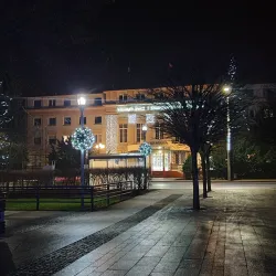 Bełchatów City Hall - Bełchatów