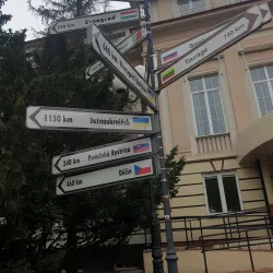 Bełchatów City Hall - Bełchatów