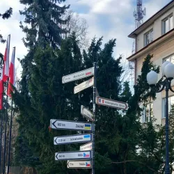 Bełchatów City Hall - Bełchatów