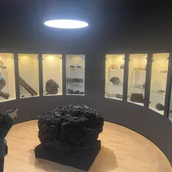 Bełchatów Museum - Bełchatów