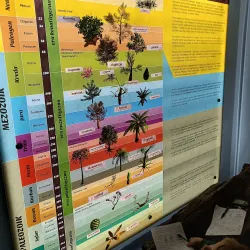 Bełchatów Museum - Bełchatów