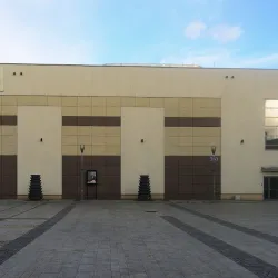 Bełchatów Museum - Bełchatów