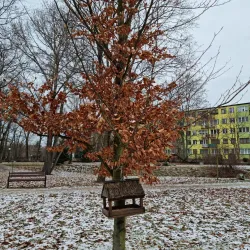 Lake Bełchatów - Bełchatów