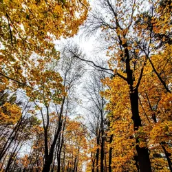 Park 1000-lecia - Bełchatów