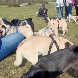 Park 1000-lecia - Bełchatów