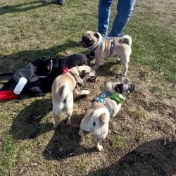 Park 1000-lecia - Bełchatów