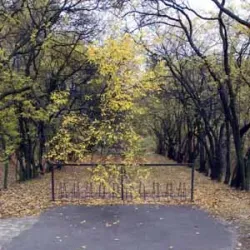 Park 1000-lecia - Bełchatów