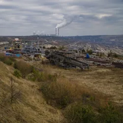 Rezerwat Przyrody "Kopalnia Bełchatów" (Nature Reserve) - Bełchatów