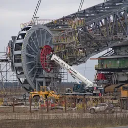 Rezerwat Przyrody "Kopalnia Bełchatów" (Nature Reserve) - Bełchatów