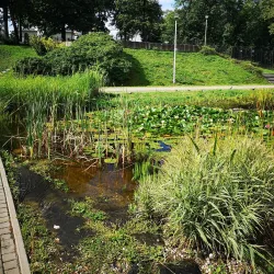 Central Park (Park Centralny) - Bialystok