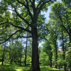 Bielsko-Biała City Park (Park Słowackiego) - Bielsko-biala