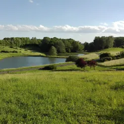 Leśny Park Kultury i Wypoczynku (Forest Culture and Recreation Park) - Bydgoszcz
