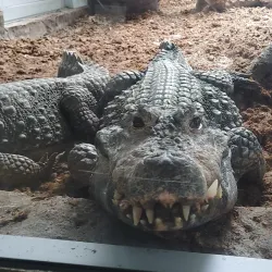 Leśny Park Kultury i Wypoczynku (Forest Culture and Recreation Park) - Bydgoszcz