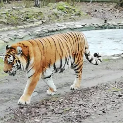 Leśny Park Kultury i Wypoczynku (Forest Culture and Recreation Park) - Bydgoszcz