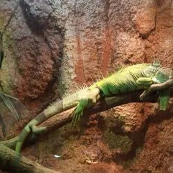 Leśny Park Kultury i Wypoczynku (Forest Culture and Recreation Park) - Bydgoszcz