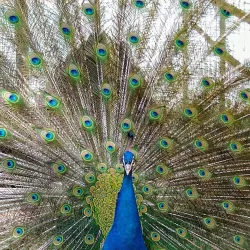 Leśny Park Kultury i Wypoczynku (Forest Culture and Recreation Park) - Bydgoszcz