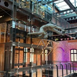 Mill Island (Wyspa Młyńska) - Bydgoszcz