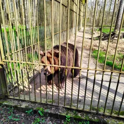 Myślęcinek Park - Bydgoszcz