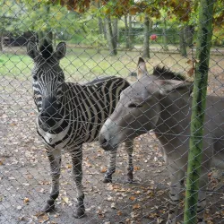 Myślęcinek Park - Bydgoszcz