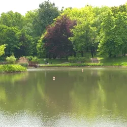 Bytom City Park (Park Miejski) - Bytom