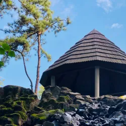 Bytom City Park (Park Miejski) - Bytom