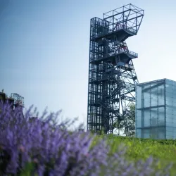 Silesian Museum (Muzeum Górnośląskie) - Bytom