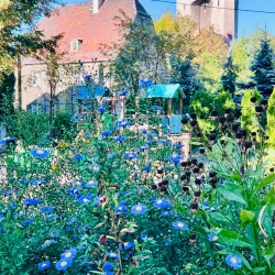 St. Barbara's Church - Bytom