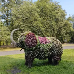 Silesian Park (Park Śląski) - Chorzow