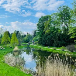 Silesian Park (Park Śląski) - Chorzow
