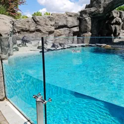 Silesian Zoological Garden - Chorzow