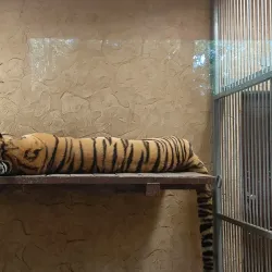 Silesian Zoological Garden - Chorzow