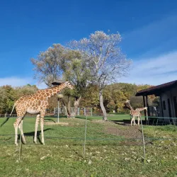 Silesian Zoological Garden - Chorzow
