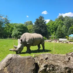 Silesian Zoological Garden - Chorzow