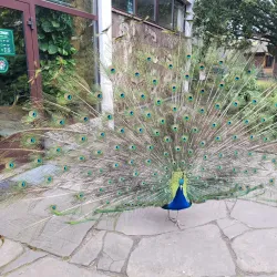 Silesian Zoological Garden - Chorzow