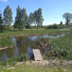 Natural Reserve 'Dolina Młoszówki' - Chrzanow