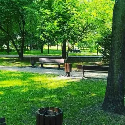 Park Miejski w Chrzanowie (City Park) - Chrzanow